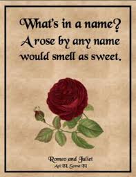 Shakespeare Quotes Classroom Poster Shakespeare Quotes Rose Quotes Romeo And Juliet Quotes