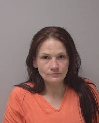 Marathon County Crime Gallery for March 31, 2022