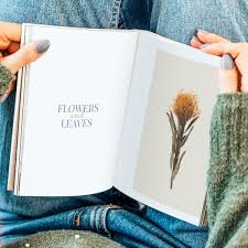 Woman Reading A Book Mockup With Flowers At Home Free Image By Rawpixel Com In 2020 Books To Read Woman Reading Free