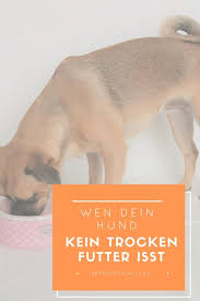 ernahrung eines hundes ist nicht einfach deshalb haben wir alltags tipps fuhr die hundeerziehung so frisst euer hund vom w hunde hunde futter hunde ernahrung