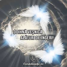 Martin tudor a murit la 43 de ani. 100 Mesaje De Condoleante Idei Citate Imagini