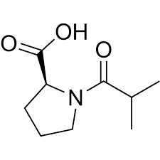 Image result for Captopril