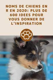 noms de chien en r en 2020 noms de chien femelle nom de chien nom de chien male