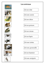 Les Animaux Animals In French Worksheet French Worksheets Worksheets French