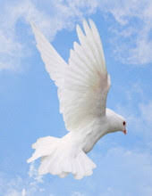 Evelyn Harman Tilson Hubble Obituary December 12, 2018