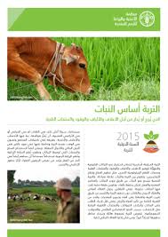 التربة أساس النبات Fao
