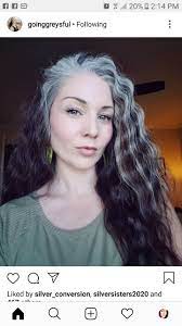 Grey Hair Grombre Silver Sisters Gray Hair Growing Out Natural Gray Hair Gray Hair Highlights
