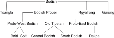 Tibetan Chapter 1 The Historical Phonology Of Tibetan
