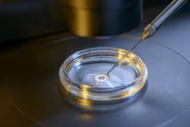 Maybe you would like to learn more about one of these? Egg Donation Procedure Donor Criteria And Legal Implications