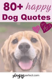 Pin On Dog Items Pattern Recipes Etc