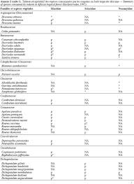 Image result for Raphidiocystis jeffreyana