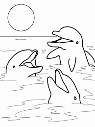 Dolphin jumped out of the water. Dolphin Coloring Page Coloring Pages For Kids