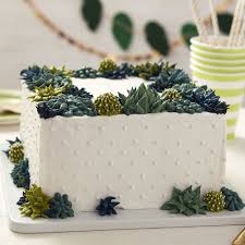 Square Succulent Cake Recipe Succulent Cake Creative Cake Decorating Wilton Cake Decorating