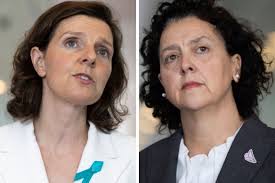 Election 2025: Google, Meta ad spends by Monique Ryan, Allegra Spender put  them among top MPs