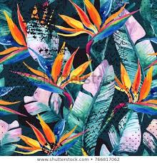 Abstract Bird Of Paradise Watercolor Pin On Bujo