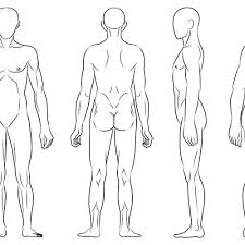 If this vertical plane runs directly down the middle of the body, it is called the midsagittal or median plane. Body Diagram For Professional Massage Chart Front Back Left And Right Views Icon Or Button Contest 99designs