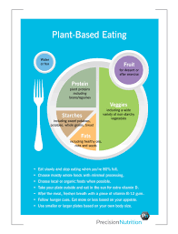 Precision Nutrition S My Plate Vegan Nutrition Plant Based Diet Plant Based Nutrition