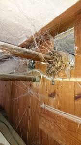 Image result for site:byggahus.se rörisolering