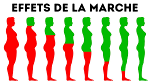 Marche rapide combien de km h. Que Se Passera T Il Dans Ton Corps Si Tu Marches Tous Les Jours Youtube