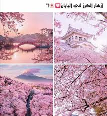 pin by kim vevan on إبــدا الــخــالــقﷻ beautiful nature wallpaper anime art beautiful beautiful nature