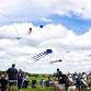 Lyon Township International Kite Festival