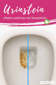 Informiere dich auf haushaltswiki.de ✓. Urinstein Effektiv Entfernen Mit Hausmitteln So Bleibt Das Wc Sauber Tipps Fur Die Hausreinigung Hausmittel Haushalt