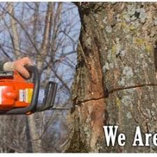 In the 1990s, toms river was prominent in the news when its little league baseball. Tree Services In Toms River Yelp