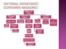 Organization Structure Of The Magazine Industry