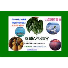 値下げ 平浦びわ組合 ３２０mlセット無農薬 濃い びわの葉エキスの通販 By 平浦びわ組合 ラクマ