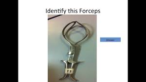 The final specifications will match the description of the specific catalog item you select. Forceps In Childbirth