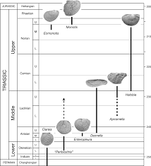 Biochronology Of Triassic Bivalves Geological Society