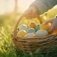 Easter Bunny Brunch