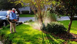 Yard Service | Sovereign Pest Control