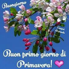 Pin Di Maria Luisa Santini Su Primavera Incantevole Buongiorno Fiori Buongiorno Buongiorno Immagini
