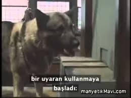 Pavlov Un Kopek Deneyi Klasik Kosullanma Deneyi Turkce Altyazili Youtube