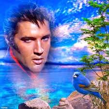 Pin by Edna Leon Reichelderfer Harman