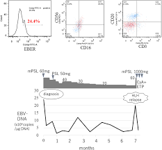 Nk Cell Post Transplant Lymphoproliferative Disease With Chronic Active Epstein Barr Virus Infection Like Clinical Findings International Journal Of Infectious Diseases