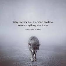 Quotes Wolf Wildlife Wolves Quiet Revealing You Wolf Quotes Warrior Quotes Life Quotes
