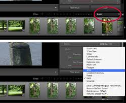 You can put the place, time of day, who was in it, what is in it, etc. Managing Raw Jpeg Files In Lightroom Thomas Fitzgerald Photography