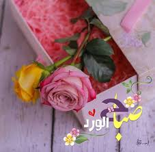 صباح الورد مجلة رجيم