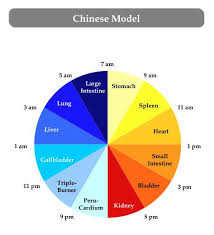 From Isomnia To Sleeping Like A Baby Chinese Body Clock