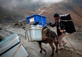 See full list on grit.com 11 Photos Of Donkeys Carrying Heavy Loads Modern Farmer