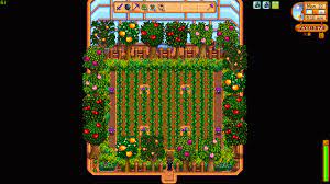 Its a waste of sprinklers, the other suggestion is better but im lazy and have the money.maybe you too? Greenhouse Stardewvalley