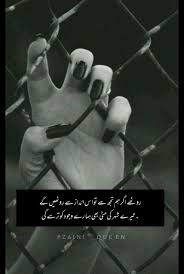 Zaini Queen In 2020 Life Quotes Funny Quotes Positive Quotes