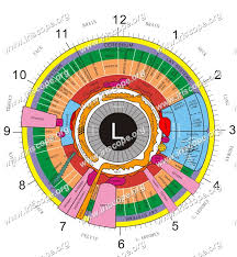 12 best iridology charts left eye chart right eye chart