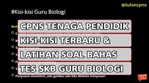 Contoh soal cpns 2018 guru pgsd ini tersedia juga dengan kunci jabawan dan pembahasannya. Kisi Kisi Soal Skb Guru Matematika Jawabanku Id