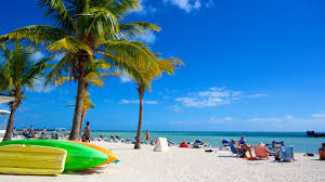 And the ocean around them are parks! The Best Pet Friendly Hotels In Florida Keys From 126 Free Cancellation On Select Dog Friendly Hotels In Florida Keys Expedia