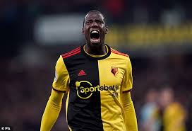 Discover the latest news for watford fc. Everton Affirm The Signing Of Abdoulaye Doucoure From Relegated Watford The Buzz Desk