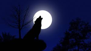 Here she is at home. January Full Moon 2021 The Wolf Moon Rises With Winter Constellations Space