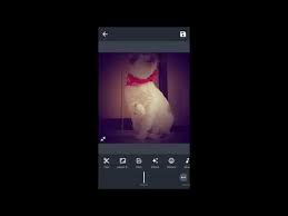 Androvid is a very handy video editor with many functions. Androvid Pro Apk Mod V4 1 6 2 Desbloqueado Descargar Hack 2021